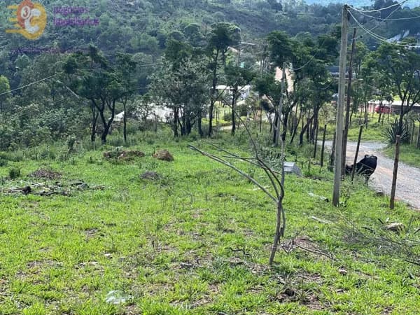 2 LOTES DIVISA CAJAMAR E PIRAPORA À VENDA