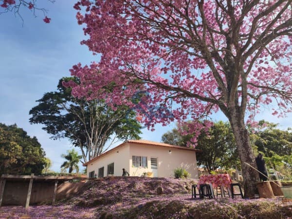 Fazenda/Sítios/Chácaras em Botucatu - Chácara Recreio Vista Alegre