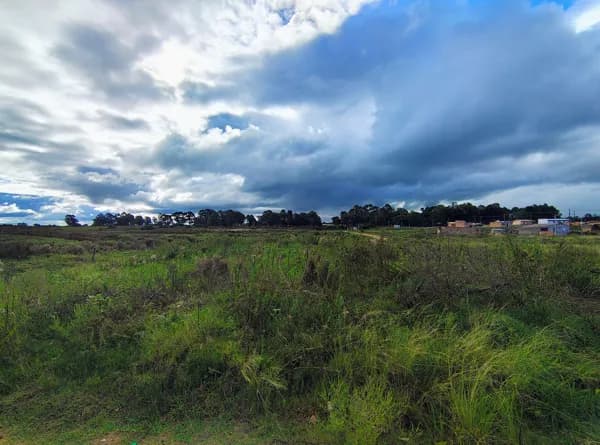 Lote/Terreno em Bagé - Tarumã