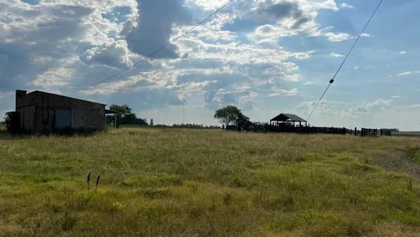Fazenda/Sítios/Chácaras em Bagé - Área Rural de Bagé
