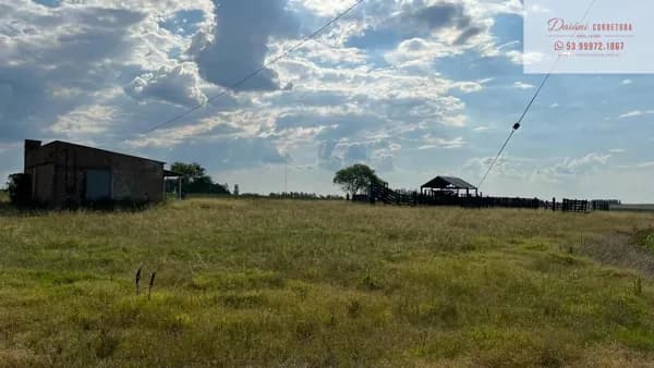 Fazenda/Sítios/Chácaras em Bagé - Área Rural de Bagé