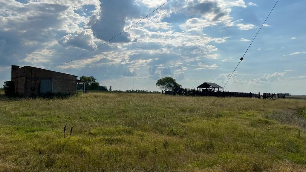 Fazenda/Sítios/Chácaras em Bagé - Área Rural de Bagé