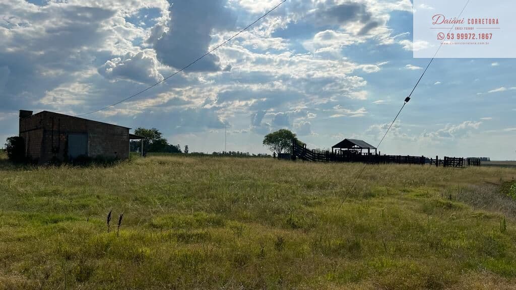 Fazenda/Sítios/Chácaras em Bagé - Área Rural de Bagé