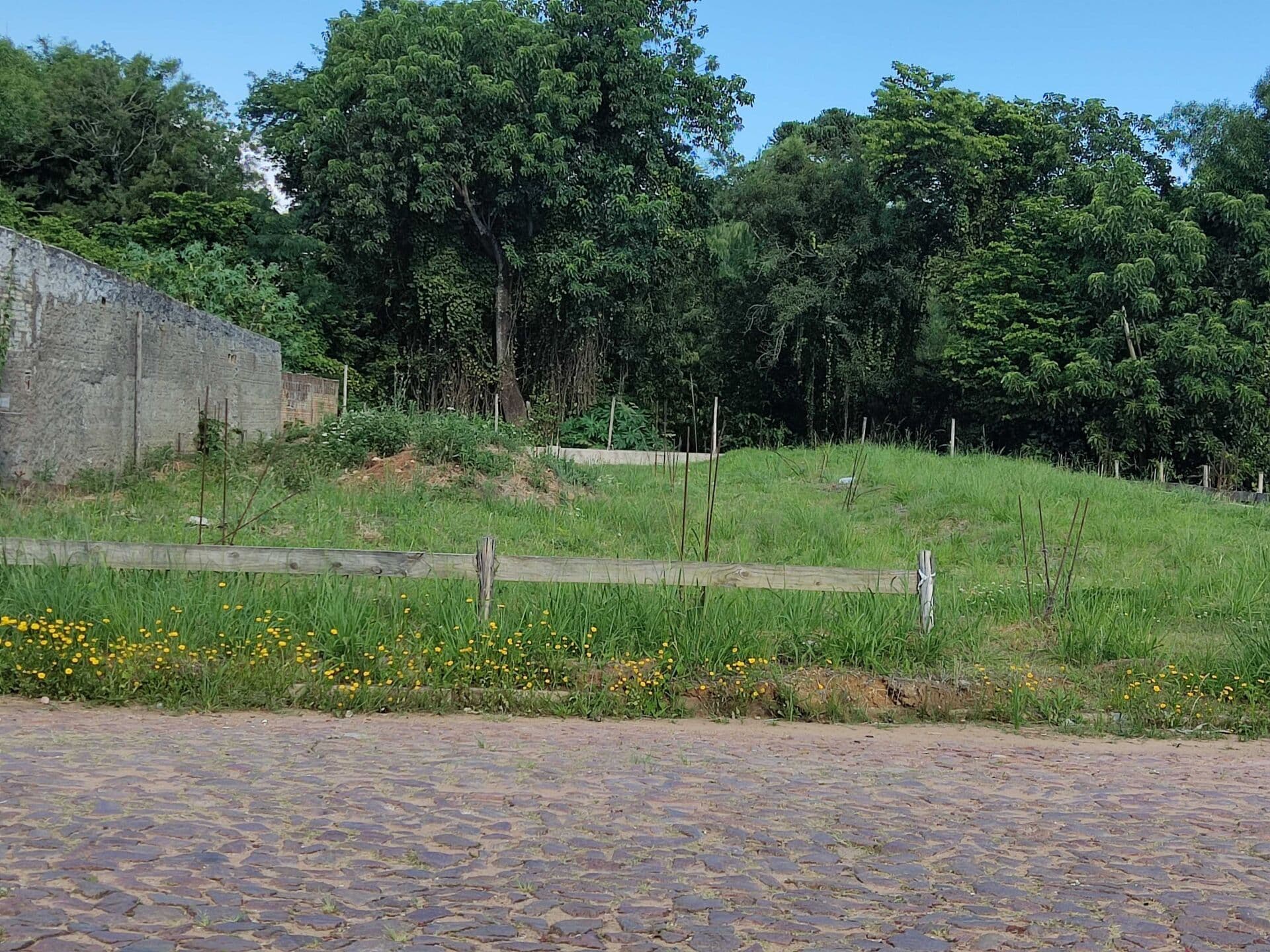 Terreno Central