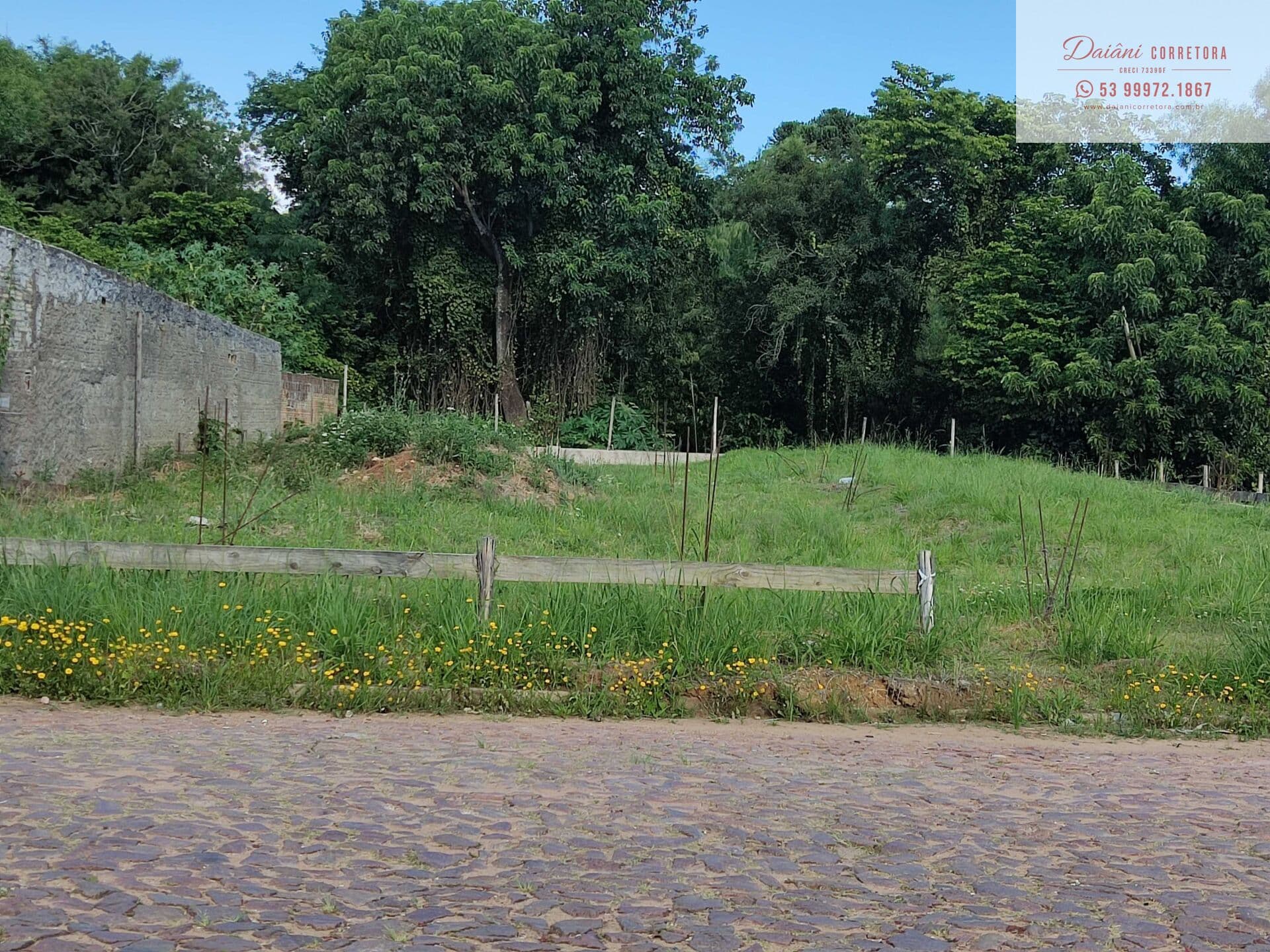 Terreno Central