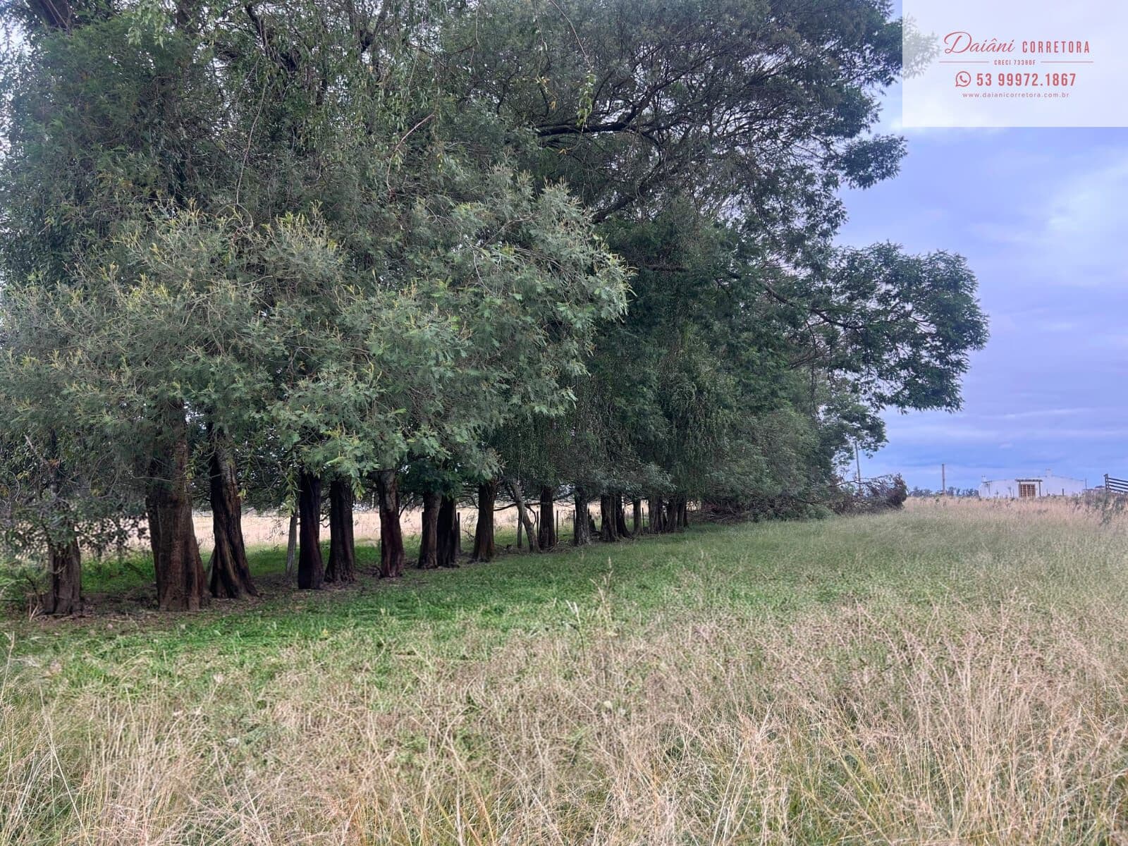 Fazenda/Sítios/Chácaras em Bagé - Área Rural de Bagé