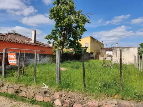 Terreno Central