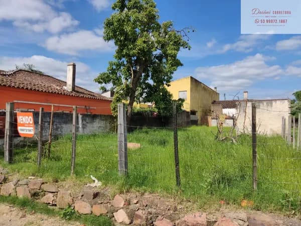 Terreno Central