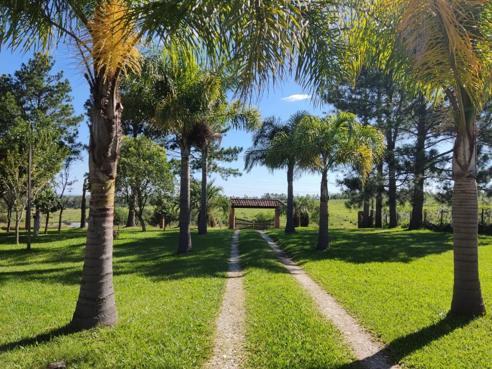 Fazenda/Sítios/Chácaras em Bagé - Aeroporto