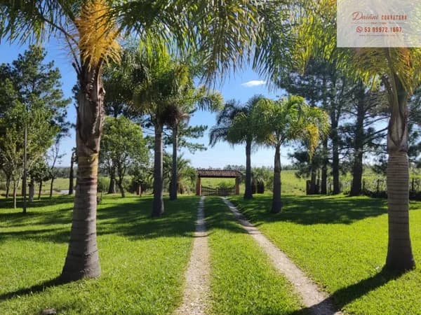 Fazenda/Sítios/Chácaras em Bagé - Aeroporto