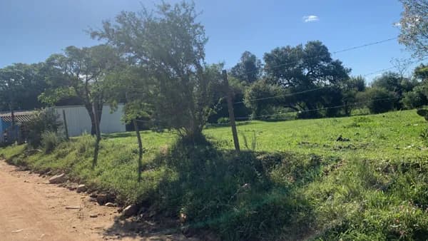 Terreno de 4.000m² no Bairro Floresta