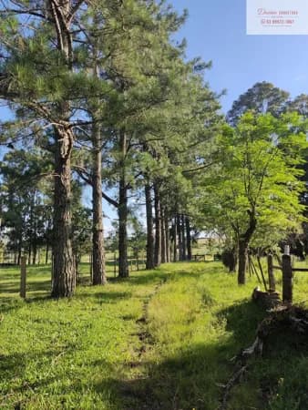 Fazenda/Sítios/Chácaras em Bagé - Área Rural de Bagé