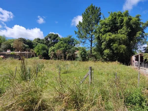Lote/Terreno em Bagé - Tiarajú