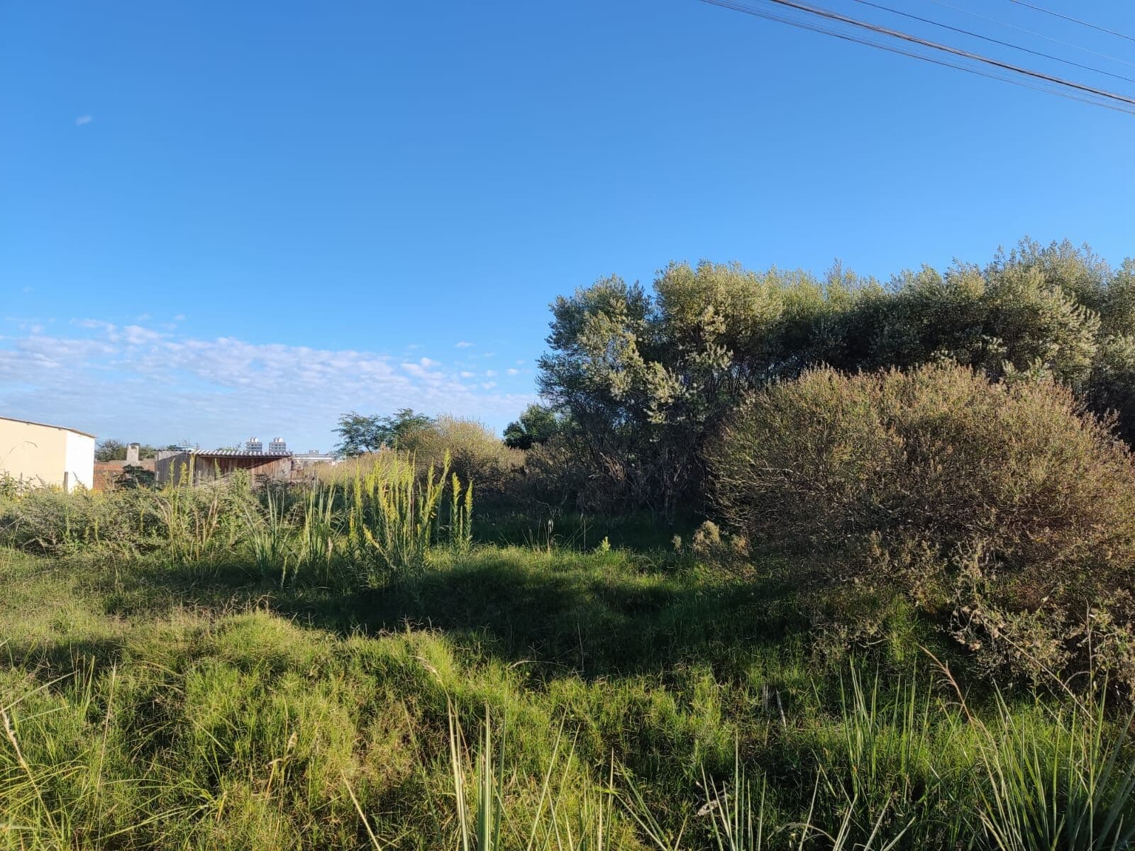 Lote/Terreno em Bagé - Industrial I