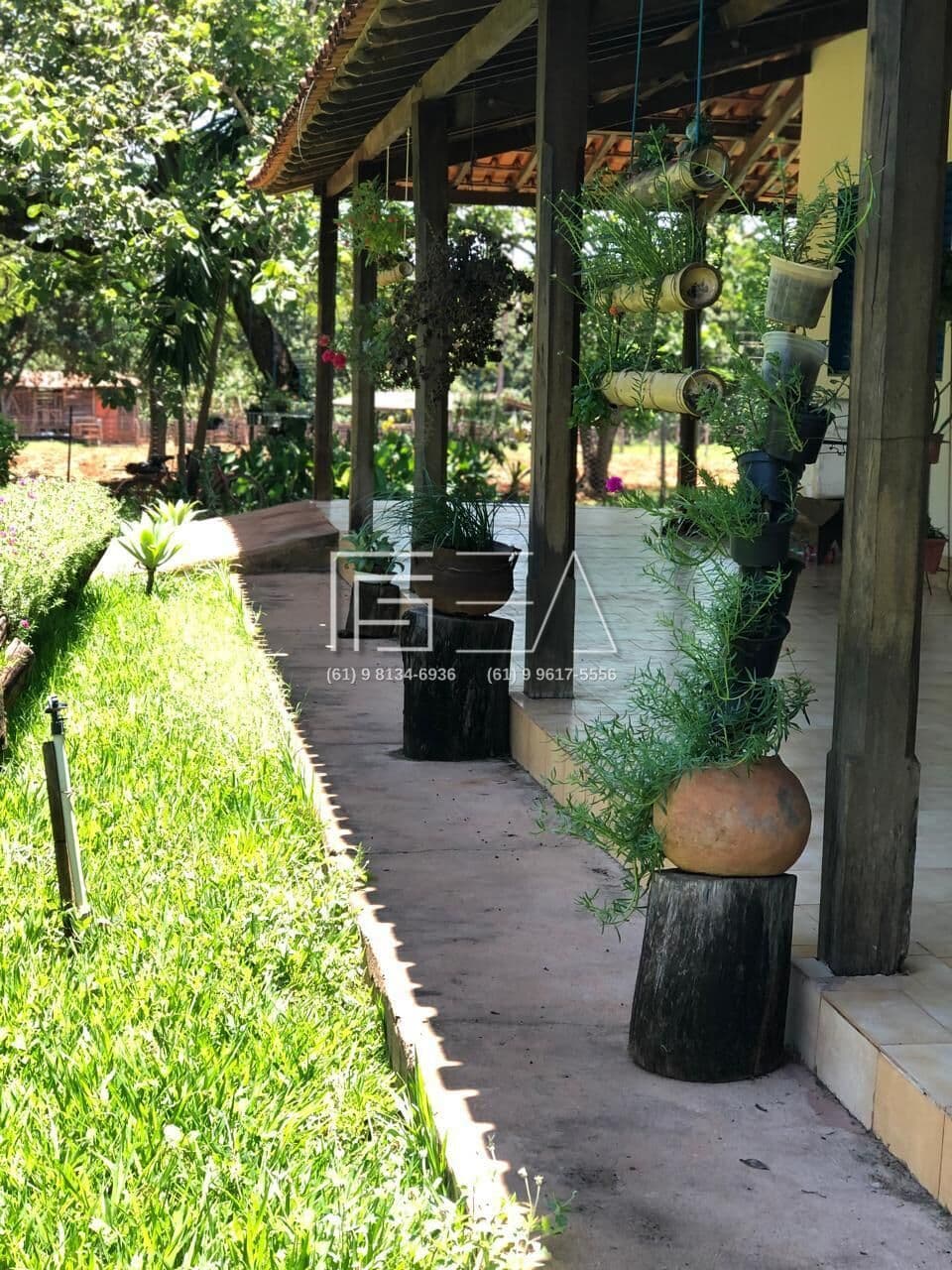 Fazenda à Venda: Propriedade de Alto Potencial com Recursos Naturais e Árvores Frutíferas
