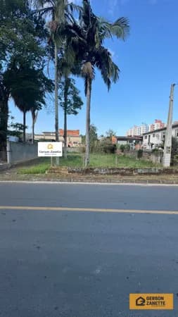 Terreno Lote - SÃO LUIZ, CRICIÚMA