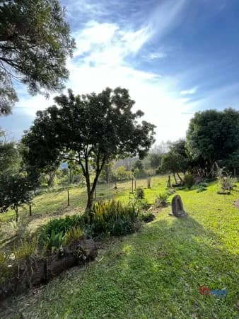 Fazenda/Sítios/Chácaras em Morro Reuter - Centro
