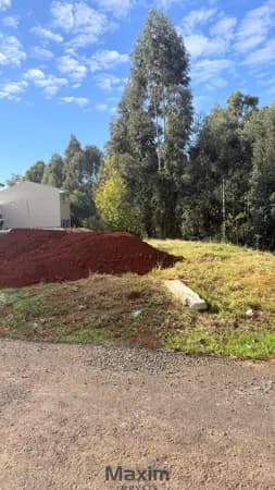 Lote/Terreno em Xaxim - Flor