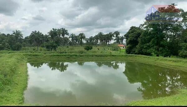 Fazenda/Sítios/Chácaras em Governador Edison Lobão - Centro