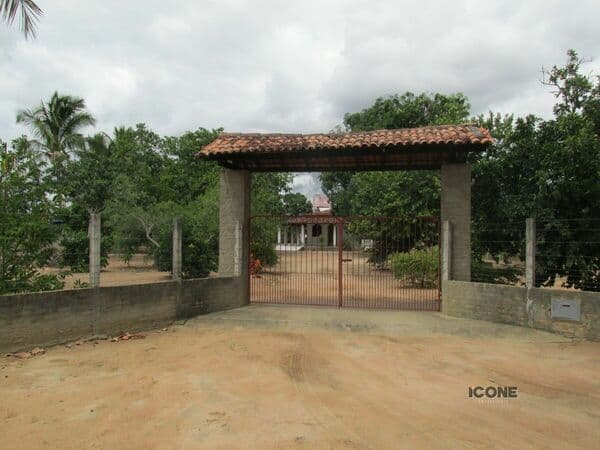 Chacara-para-Venda-em-ALECRIM-MIUDO-Feira-de-Santana-BA