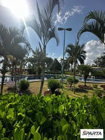 Lote/Terreno em Conceição do Jacuípe - Centro
