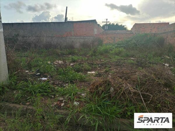 Lote/Terreno em Feira de Santana - Tomba