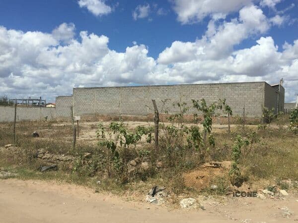 Terreno-para-Venda-em-Parque-Ipe-Feira-de-Santana-BA