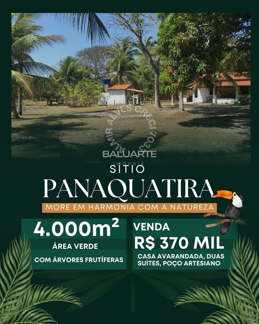 SITIO EM PANAQUATIRA SÃO JOSÉ DE RIBAMAR-MA
