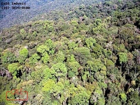 Área Reflorestamento FAZENDA À VENDA DE PARA COMPENSAÇÃO DE RESERVA LEGAL, NO INTERIOR DE SÃO PAULO