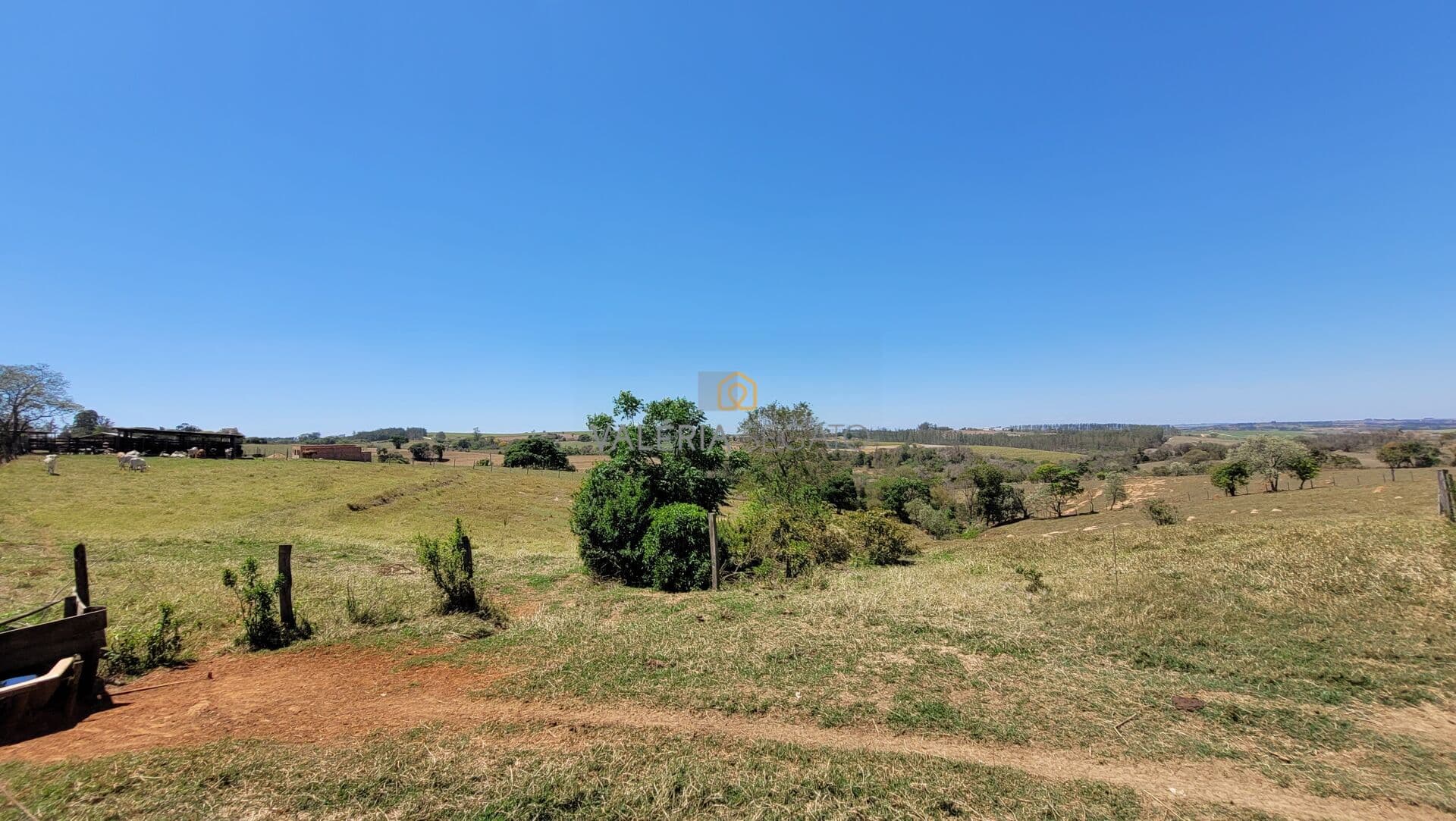 Sítio Produtivo de 1,5 Alqueire no Bairro Ribeirão Fundo - Tietê/SP