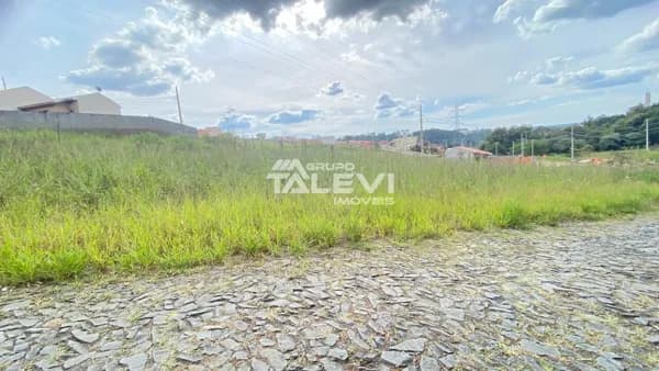 Lote/Terreno em Telêmaco Borba - Jardim Argentina