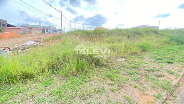 Lote/Terreno em Telêmaco Borba - Jardim Argentina