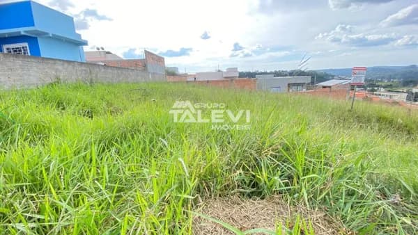 Lote/Terreno em Telêmaco Borba - Jardim Argentina