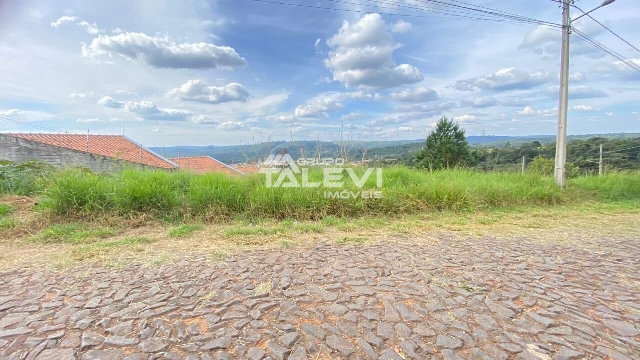 Lote/Terreno em Telêmaco Borba - Jardim Argentina