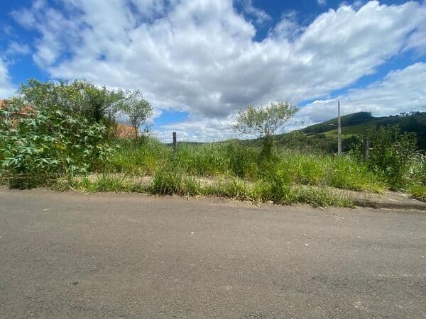 Lote/Terreno em Telêmaco Borba - Parque Limeira Área VI
