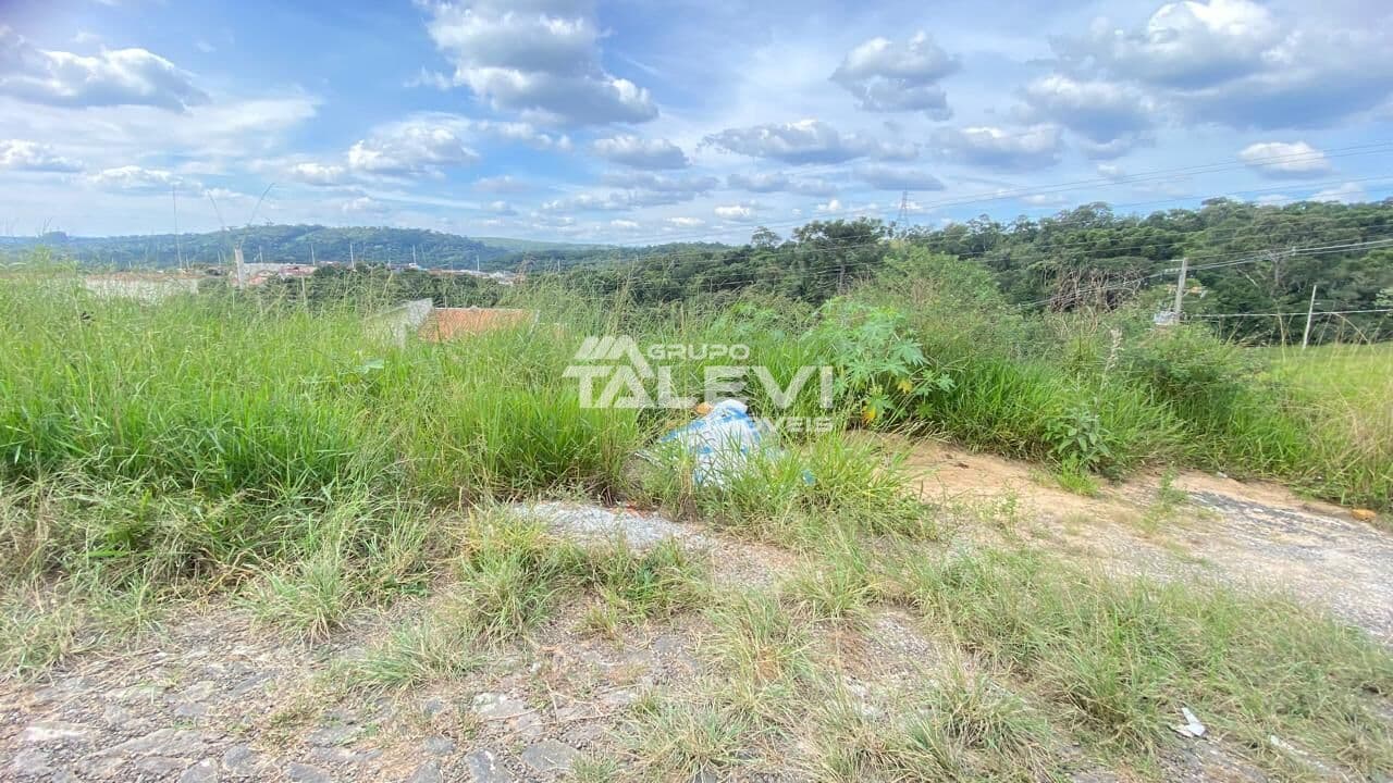Lote/Terreno em Telêmaco Borba - Jardim Argentina