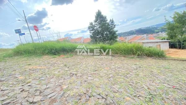 Lote/Terreno em Telêmaco Borba - Jardim Argentina