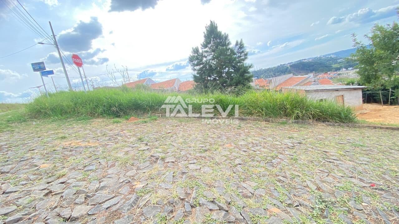 Lote/Terreno em Telêmaco Borba - Jardim Argentina