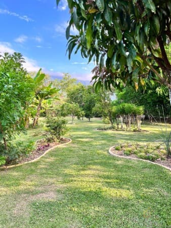 Fazenda/Sítios/Chácaras em Palhoça - Guarda do Cubatão