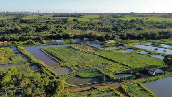 Fazenda/Sítios/Chácaras em Itaporã - Centro
