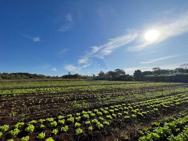 Fazenda/Sítios/Chácaras em Dourados - Parque das Nações