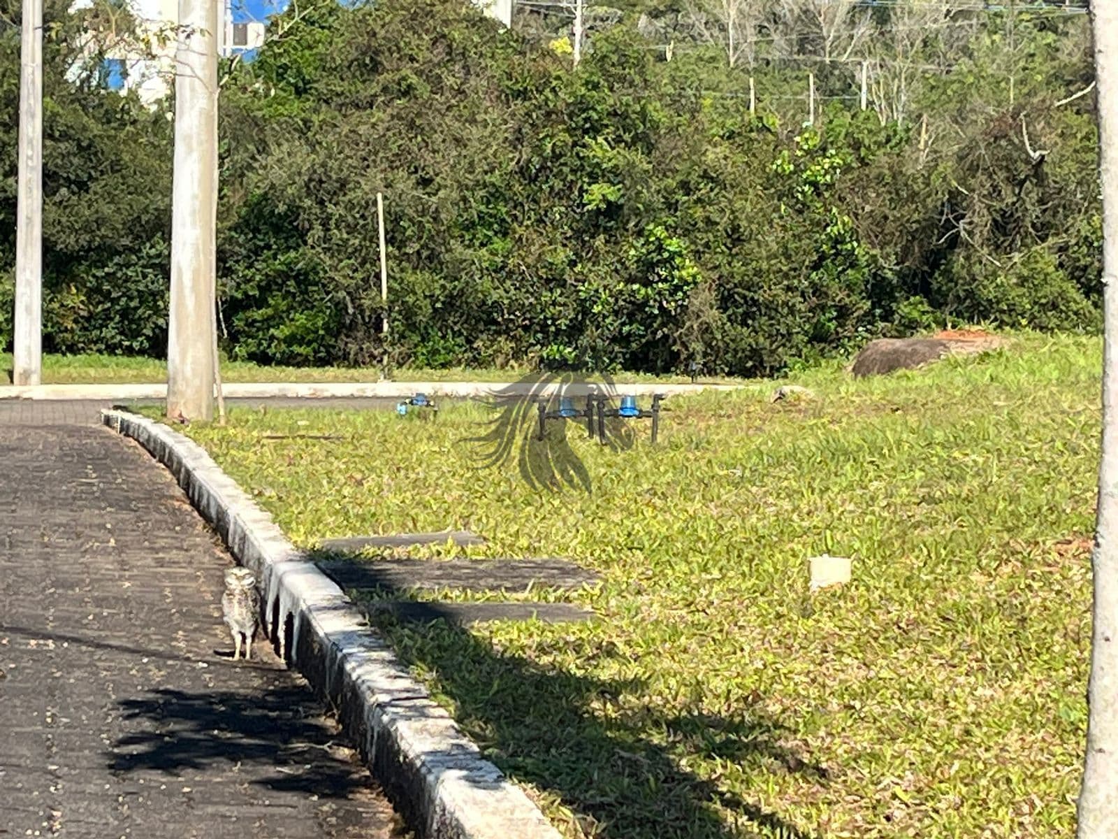 Terreno em condomínio