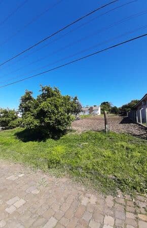 Lote/Terreno em Venâncio Aires - Aviação