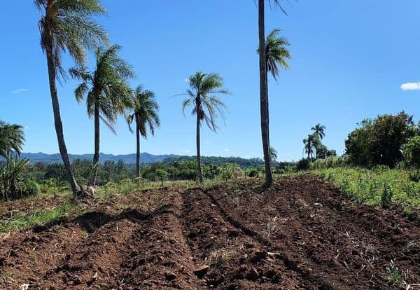 Fazenda/Sítios/Chácaras em Venâncio Aires - Santa Tecla