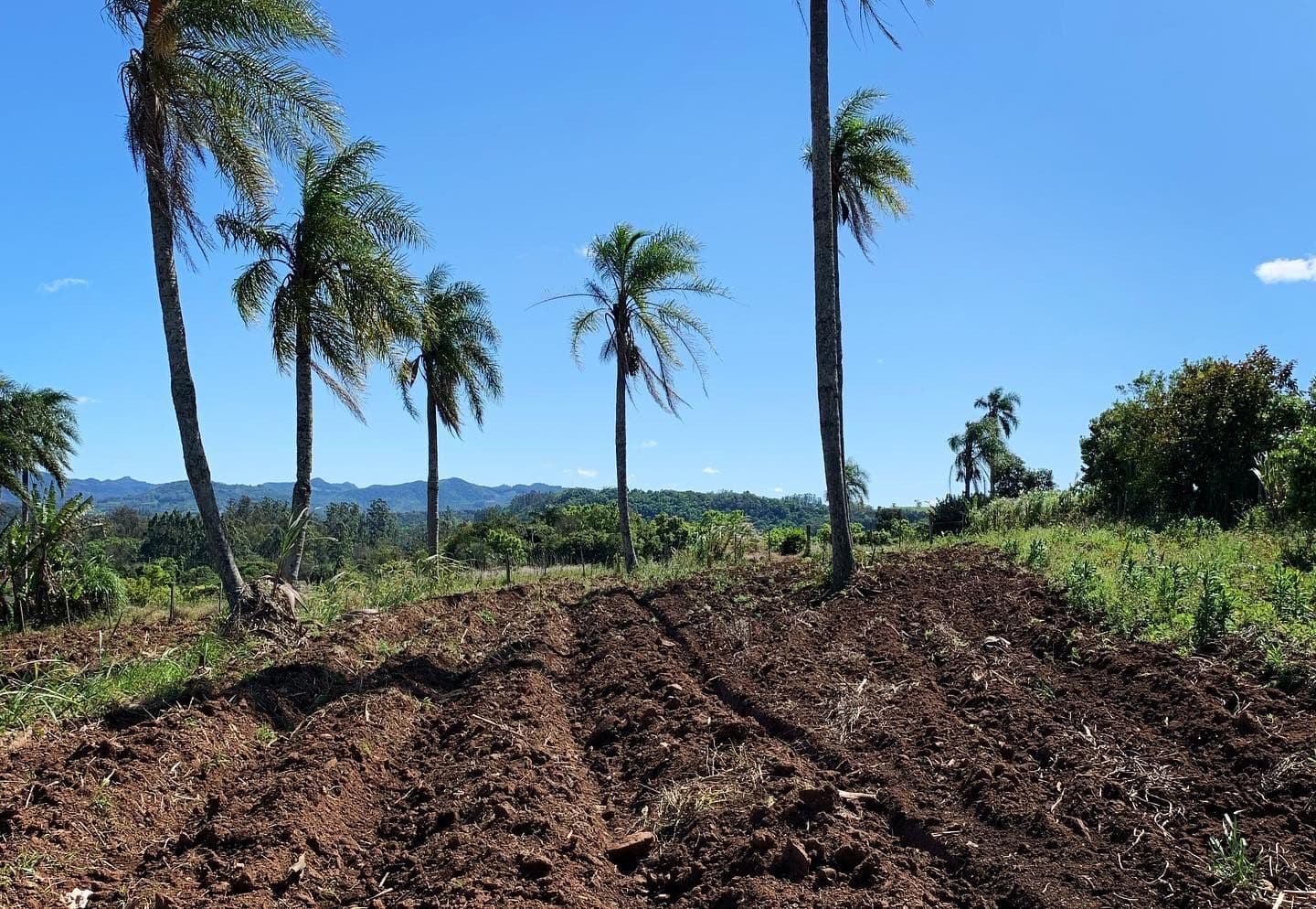 Fazenda/Sítios/Chácaras em Venâncio Aires - Santa Tecla