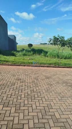 Lote/Terreno em São Pedro do Paraná - Centro