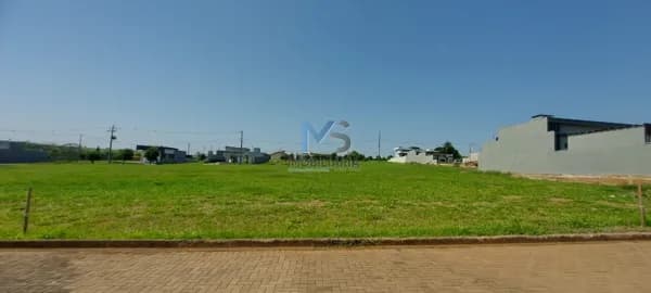 Lote/Terreno em Porto Rico - Centro