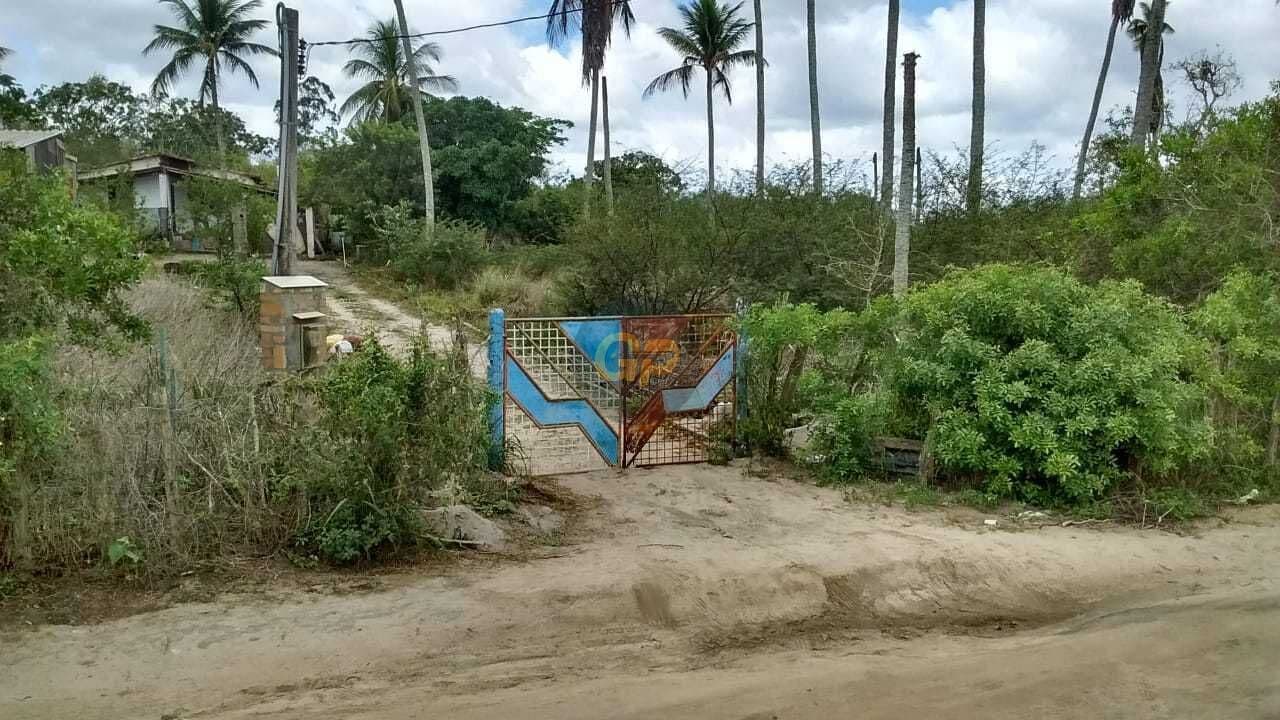Fazenda/Sítios/Chácaras em Feira de Santana - Papagaio