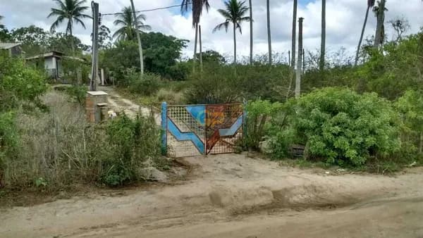 Fazenda/Sítios/Chácaras em Feira de Santana - Papagaio