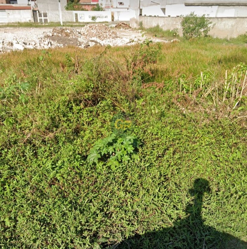 Lote/Terreno em Feira de Santana - Jardim Acácia
